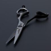 ACRO-S-Stephen-Moody-Model-Competition-Winning_01